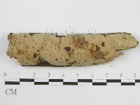 登錄號:F0013785藏品圖，第1張