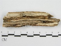 登錄號:F0013785藏品圖，第3張