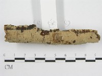 登錄號:F0013785藏品圖，第4張