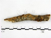 登錄號:F0013786藏品圖，第1張