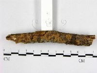 登錄號:F0013786藏品圖，第3張