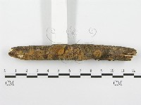 登錄號:F0013786藏品圖，第4張