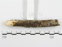 登錄號:F0013786藏品圖，第6張