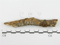 登錄號:F0013786藏品圖，第7張