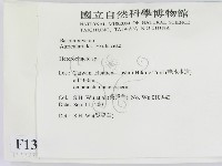 刺皮菌屬藏品圖，第2張