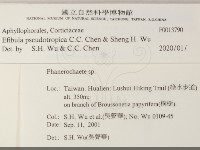 雲南無扣菌藏品圖，第2張