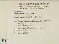 登錄號:F0013791藏品圖，第2張