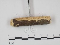 登錄號:F0013791藏品圖，第3張