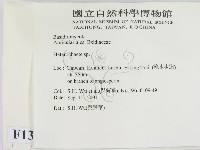 刺皮菌屬藏品圖，第2張