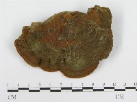 登錄號:F0013794藏品圖，第4張