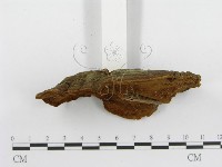 登錄號:F0013794藏品圖，第5張