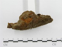 登錄號:F0013794藏品圖，第1張