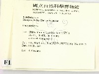 花耳屬藏品圖，第2張