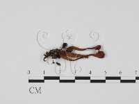 登錄號:F0013796藏品圖，第3張