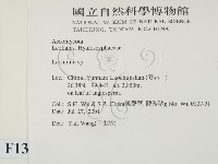 登錄號:F0013797藏品圖，第2張