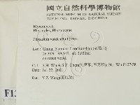 登錄號:F0013799藏品圖，第2張