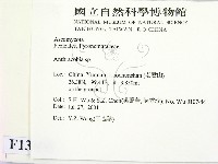登錄號:F0013800藏品圖，第2張