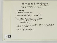 登錄號:F0013801藏品圖，第2張