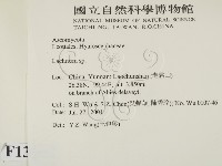 登錄號:F0013802藏品圖，第2張