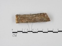 登錄號:F0013802藏品圖，第1張