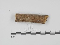 登錄號:F0013802藏品圖，第4張