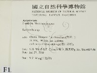 登錄號:F0013804藏品圖，第2張