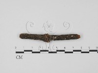 登錄號:F0013804藏品圖，第1張