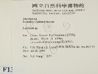 登錄號:F0013805藏品圖，第2張