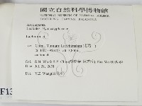 登錄號:F0013806藏品圖，第2張