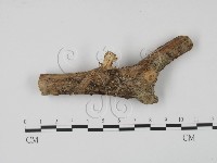 登錄號:F0013806藏品圖，第1張