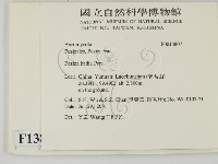 登錄號:F0013807藏品圖，第2張