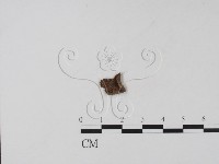 登錄號:F0013807藏品圖，第1張