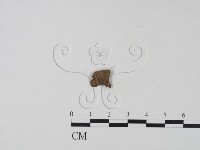 登錄號:F0013807藏品圖，第3張