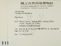 登錄號:F0013809藏品圖，第2張