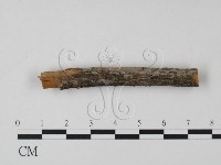 登錄號:F0013809藏品圖，第3張