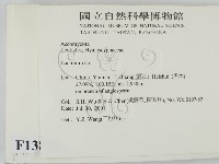 登錄號:F0013810藏品圖，第2張