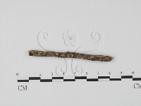 登錄號:F0013810藏品圖，第1張