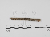 登錄號:F0013810藏品圖，第3張