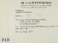 登錄號:F0013812藏品圖，第2張