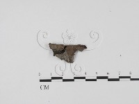 登錄號:F0013812藏品圖，第3張