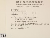 登錄號:F0013813藏品圖，第2張