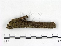 登錄號:F0013814藏品圖，第1張