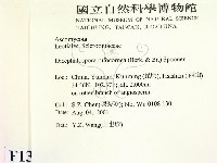 登錄號:F0013815藏品圖，第2張