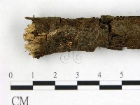 登錄號:F0013815藏品圖，第3張