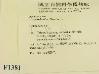 登錄號:F0013817藏品圖，第2張