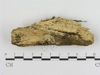 登錄號:F0013817藏品圖，第1張