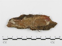 登錄號:F0013818藏品圖，第3張