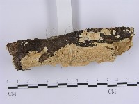 登錄號:F0013819藏品圖，第3張