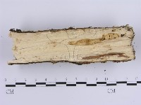登錄號:F0013819藏品圖，第4張