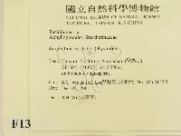 登錄號:F0013821藏品圖，第2張